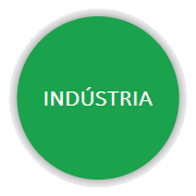 Industria Biobraga